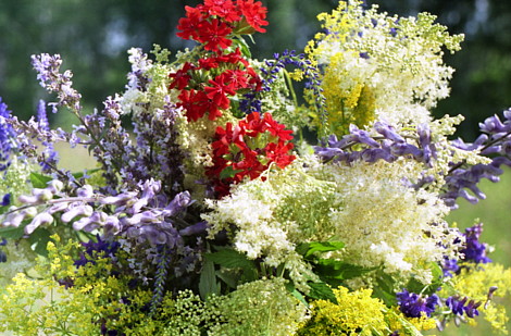ULTRA MODERN Altay flowers