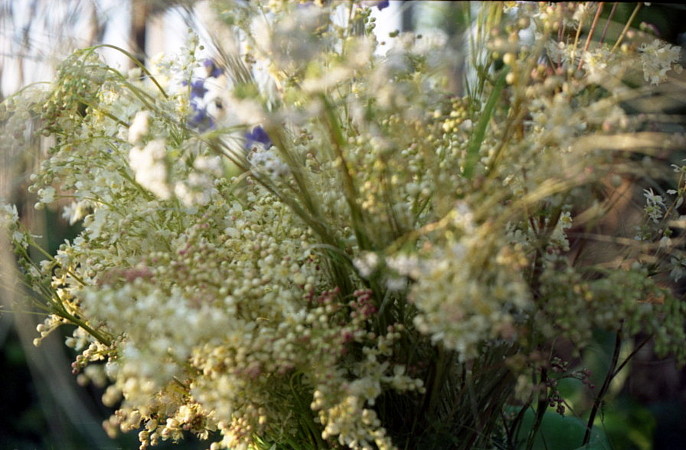 ULTRA MODERN Altay flowers